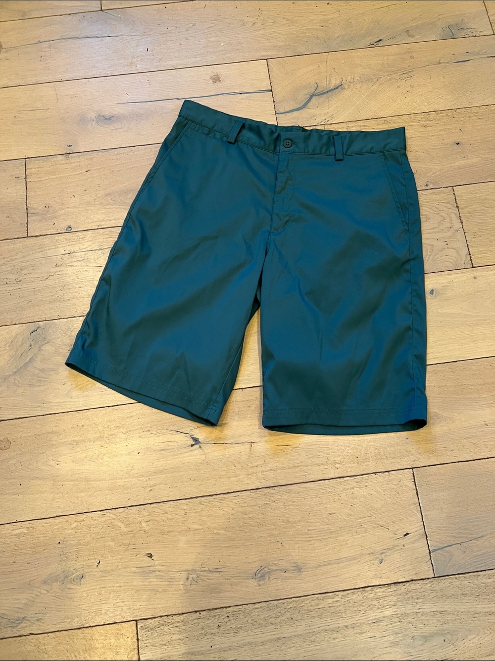 Nike Men's golf shorts- Teal, size 32